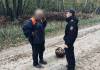 В лесу под Лоевом искали грибника