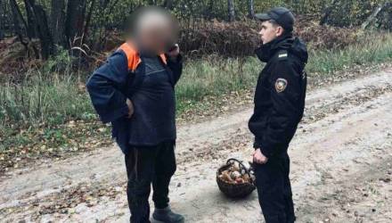 В лесу под Лоевом искали грибника