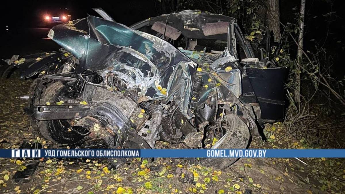 В Житковичском районе водитель BMW врезался в дерево
