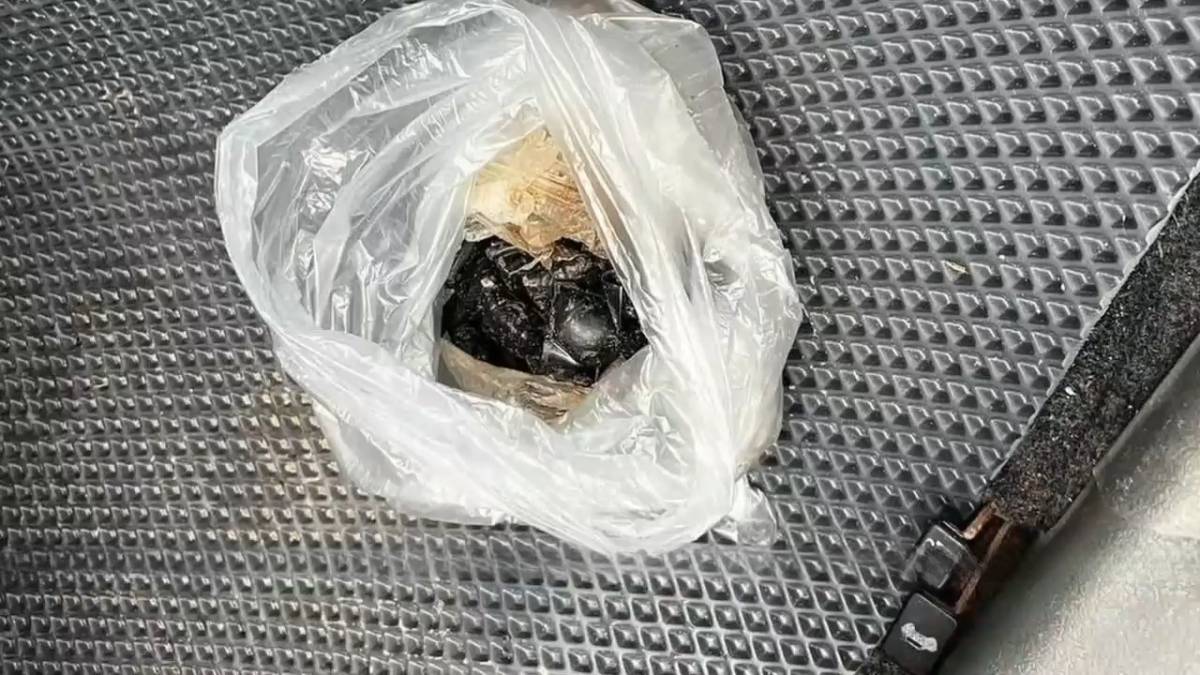 На Гомельщине задержали закладчицу с крупной партией психотропа