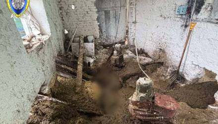 В Добрушском районе рабочего затянуло в конвейер для уборки навоза