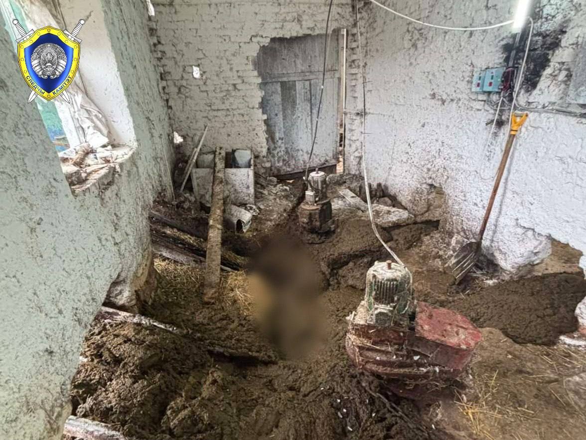 В Добрушском районе рабочего затянуло в конвейер для уборки навоза
